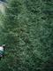 男男跪床❌❌被🌿网站缩略图